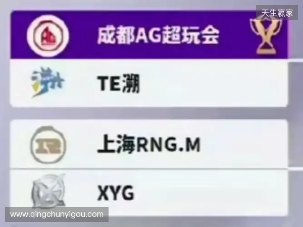 2025王者挑杯抽签结果公布 TE溯将迎战AG超玩会