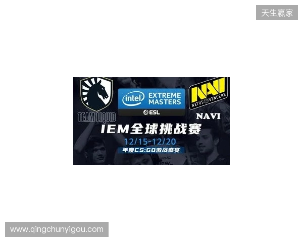 IEM克拉科夫2026：学院派的对决！NAVI 2-1 PV