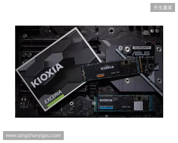 读写打穿天花板，再战五年不是梦！铠侠VE10固态上手体验